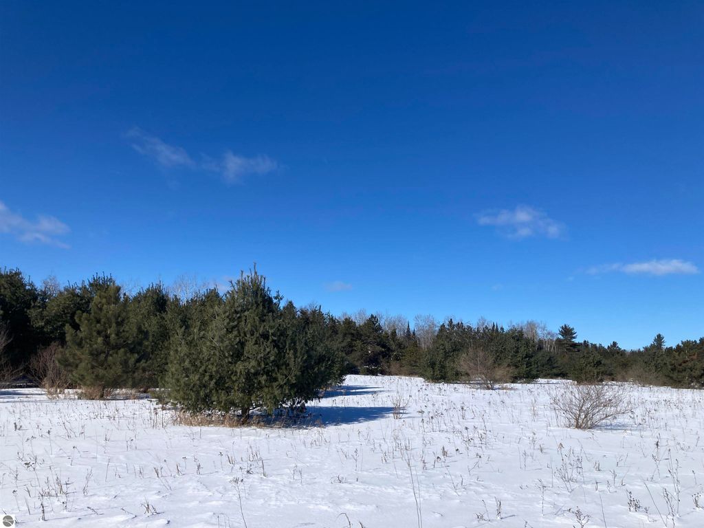 Image 6 of property listing at 00 W Miller Road, Mio, MI 49647