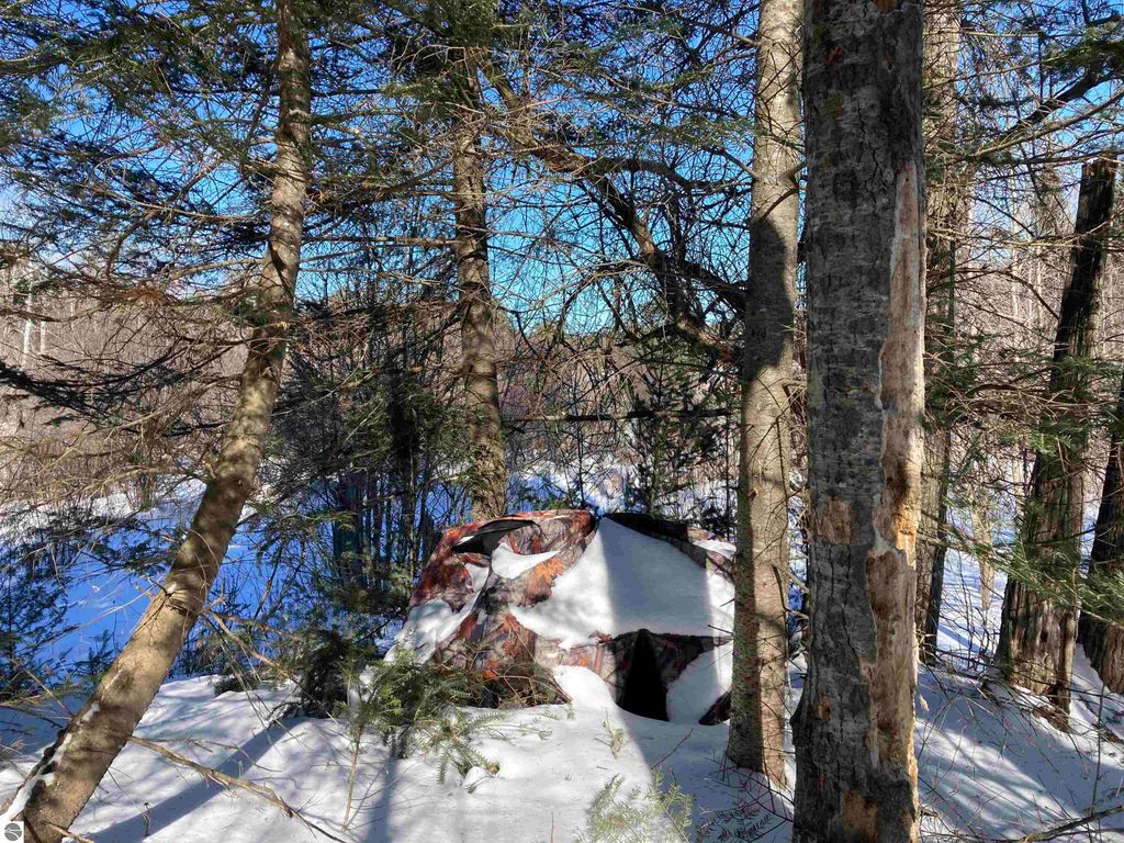 Image 8 of property listing at 00 W Miller Road, Mio, MI 49647