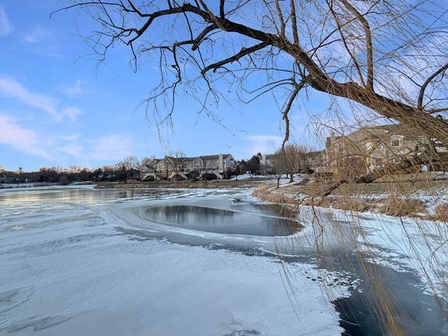 1726 Dixon Drive, Lisle, IL 60532