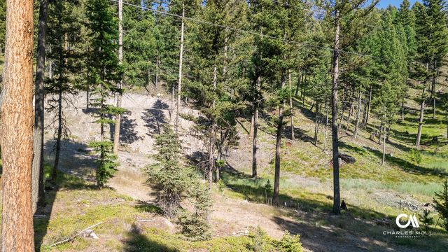170 Leota Peak Court, Seeley Lake, MT 59868