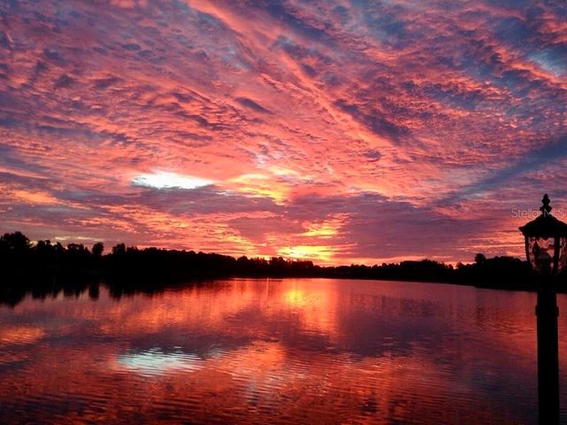 8606 REEDVILLE STREET, New Port Richey, FL 34654