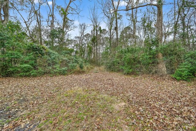 15630 Ben Wiggins Road, Conroe, TX 77303