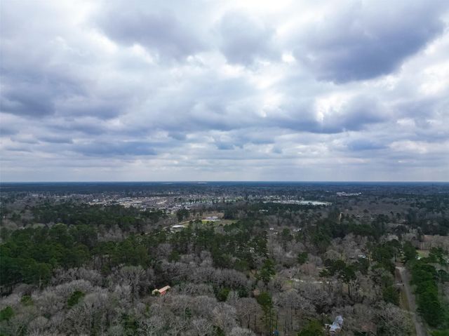 15630 Ben Wiggins Road, Conroe, TX 77303