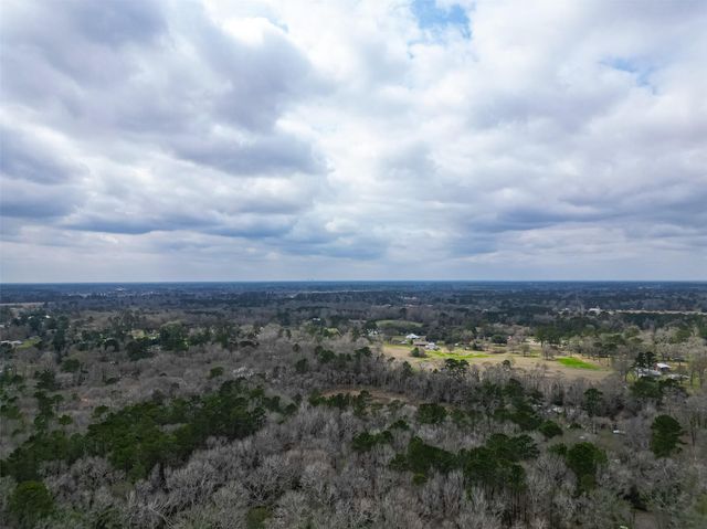 15630 Ben Wiggins Road, Conroe, TX 77303