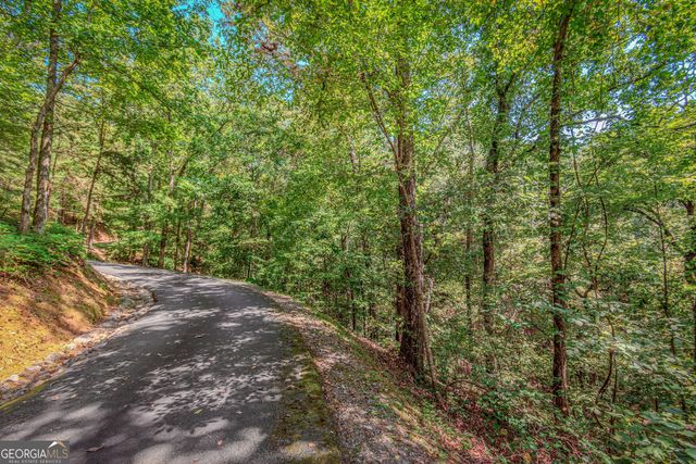 4.7AC Mountain Creek Hollow Drive, Talking Rock, GA 30175