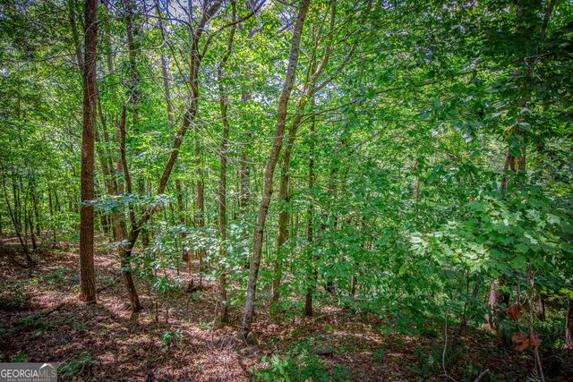 4.7AC Mountain Creek Hollow Drive, Talking Rock, GA 30175