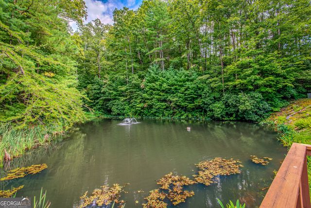 4.7AC Mountain Creek Hollow Drive, Talking Rock, GA 30175