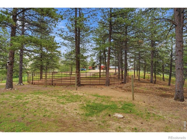 89 Aspen Leaf Lane, Bellvue, CO 80512