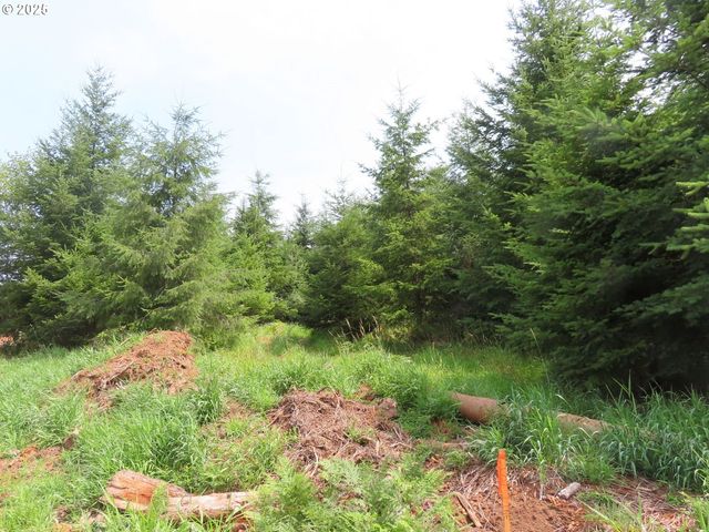 Mill Creek Ln H, Longview, WA 98632