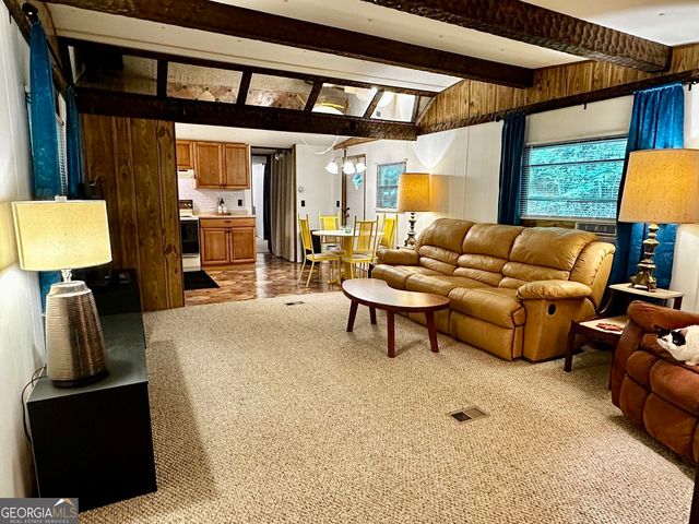 4395 White Oak Drive, Hiawassee, GA 30546