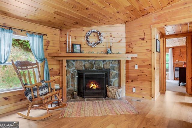 1390 Snake Nation Road, Blue Ridge, GA 30513