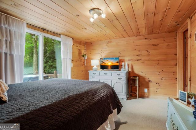 1390 Snake Nation Road, Blue Ridge, GA 30513