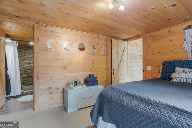 1390 Snake Nation Road, Blue Ridge, GA 30513