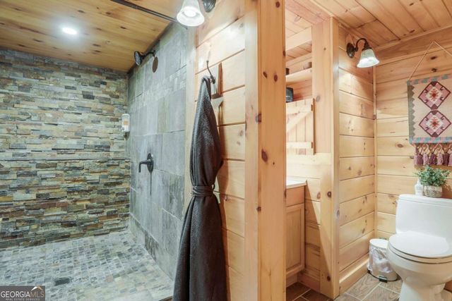 1390 Snake Nation Road, Blue Ridge, GA 30513