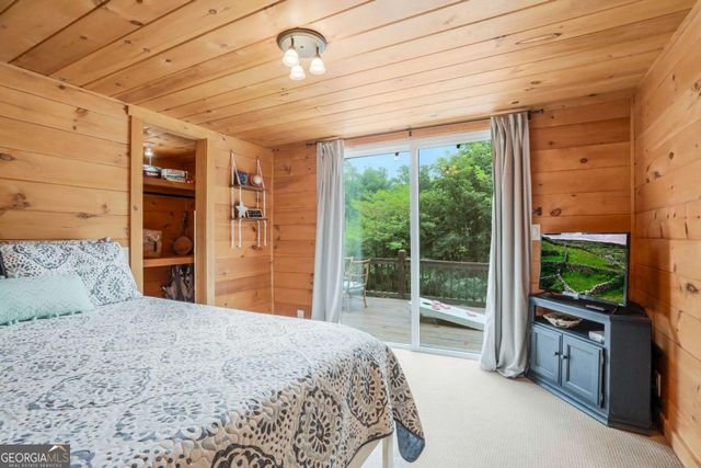 1390 Snake Nation Road, Blue Ridge, GA 30513