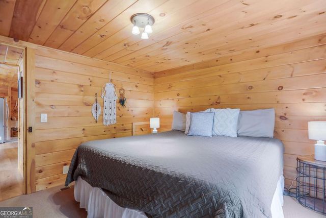 1390 Snake Nation Road, Blue Ridge, GA 30513