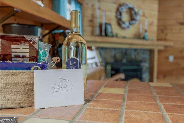 1390 Snake Nation Road, Blue Ridge, GA 30513