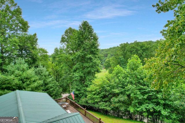 1390 Snake Nation Road, Blue Ridge, GA 30513