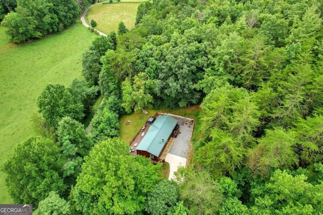 1390 Snake Nation Road, Blue Ridge, GA 30513