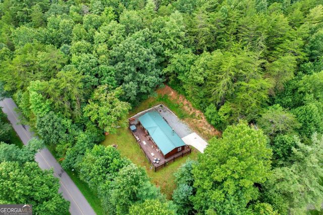 1390 Snake Nation Road, Blue Ridge, GA 30513