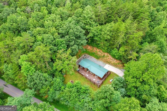 1390 Snake Nation Road, Blue Ridge, GA 30513