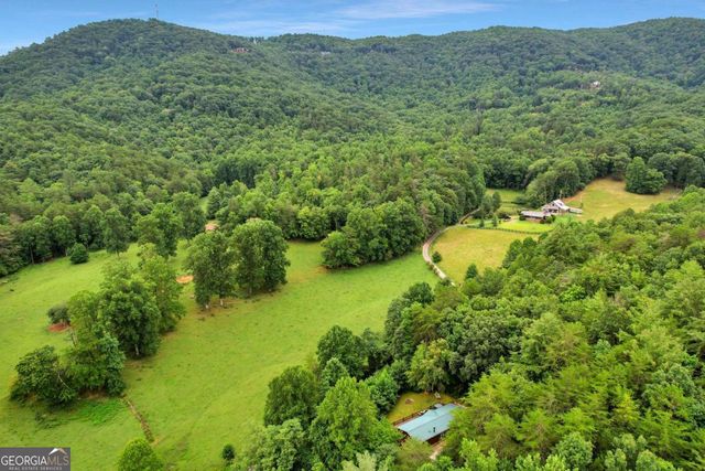 1390 Snake Nation Road, Blue Ridge, GA 30513