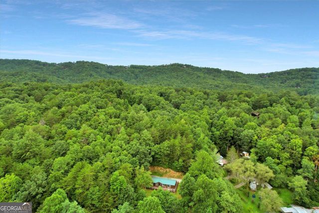 1390 Snake Nation Road, Blue Ridge, GA 30513