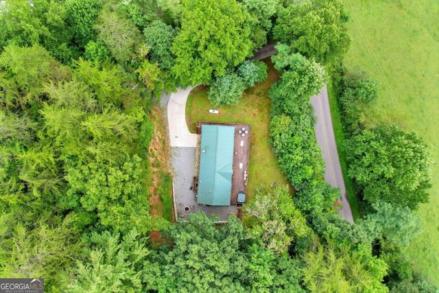 1390 Snake Nation Road, Blue Ridge, GA 30513