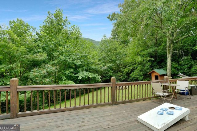 1390 Snake Nation Road, Blue Ridge, GA 30513