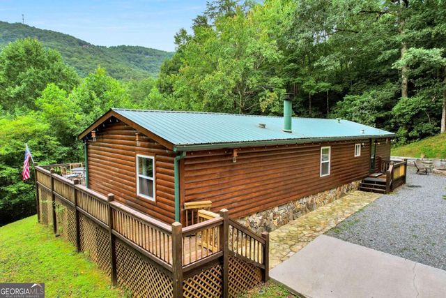 1390 Snake Nation Road, Blue Ridge, GA 30513