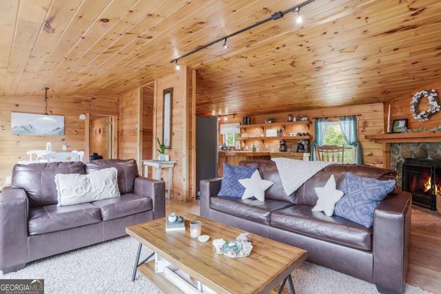 1390 Snake Nation Road, Blue Ridge, GA 30513