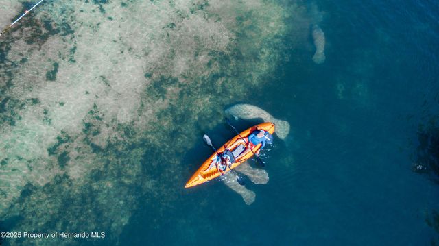 5261 Circle Drive, Weeki Wachee, FL 34607