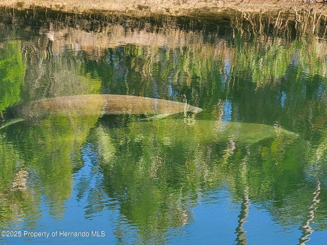 5261 Circle Drive, Weeki Wachee, FL 34607