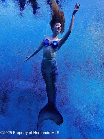 5261 Circle Drive, Weeki Wachee, FL 34607