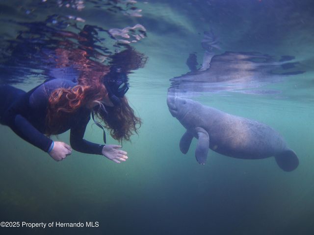 5261 Circle Drive, Weeki Wachee, FL 34607