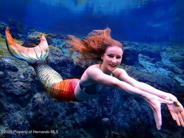 5261 Circle Drive, Weeki Wachee, FL 34607