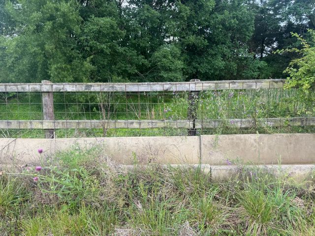 0 Hummingbird lane, Celina, TN 38551