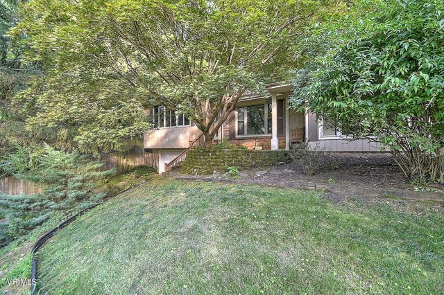 3815 Hemlock Park Lane, Kingsport, TN 37663