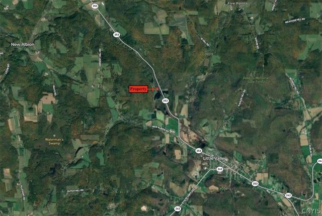 108 Linlyco Lake Road, New Albion, NY 14719