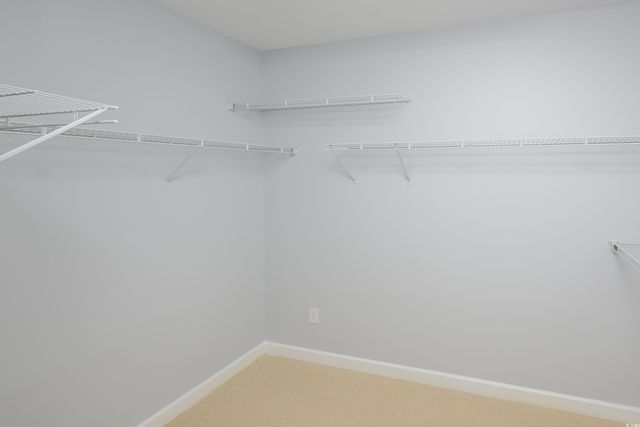 249 Ashepoo Creek Dr., Myrtle Beach, SC 29579