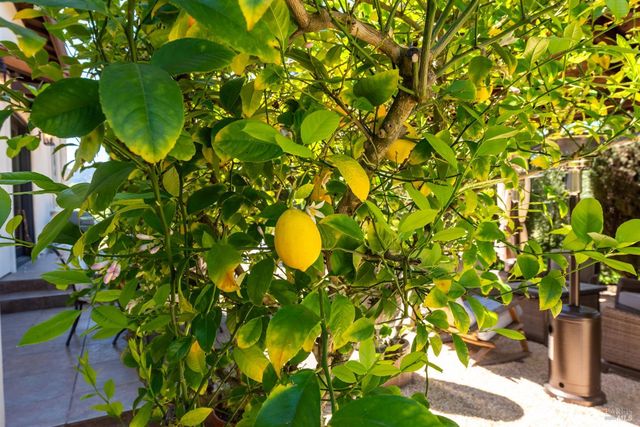 3860 N Silverado Trl N, Calistoga, CA 94515