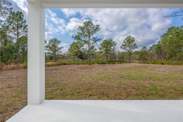 42845 HONEYSUCKLE STREET, Eustis, FL 32736