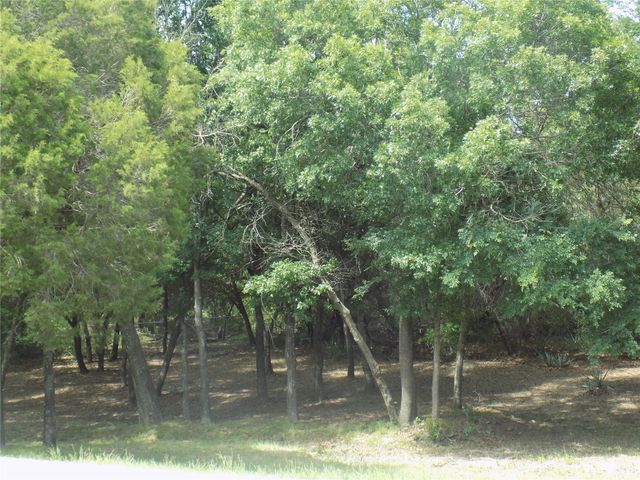 203 S Ridgeview Court, Azle, TX 76020