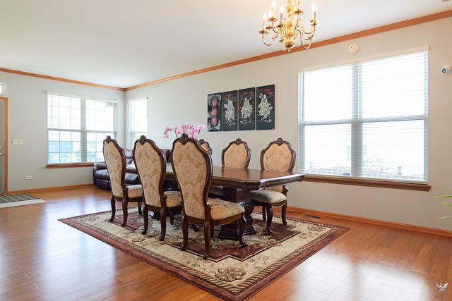 2212 Caton Ridge Drive, Plainfield, IL 60586
