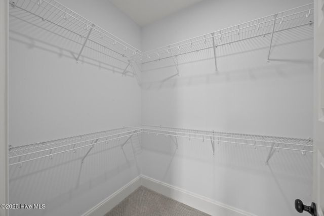 3905 Harkers Way, New Bern, NC 28562