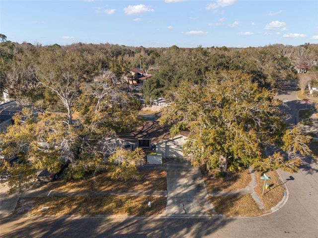 15648 BEAR CREEK DRIVE, Tampa, FL 33624