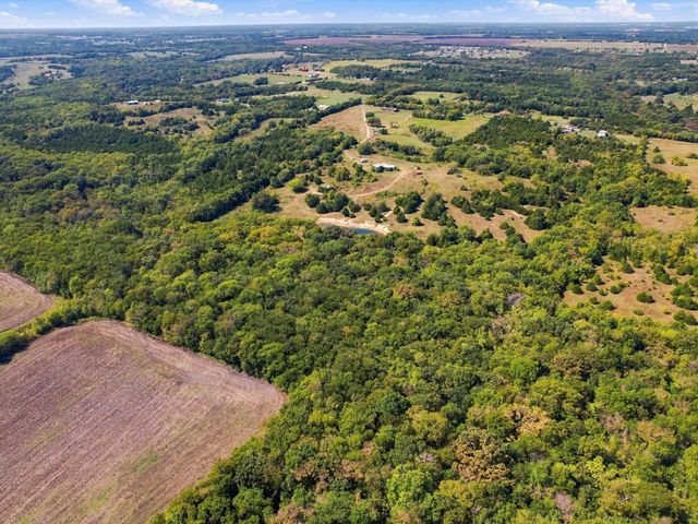828 Blanton Hill Road, Whitewright, TX 75491