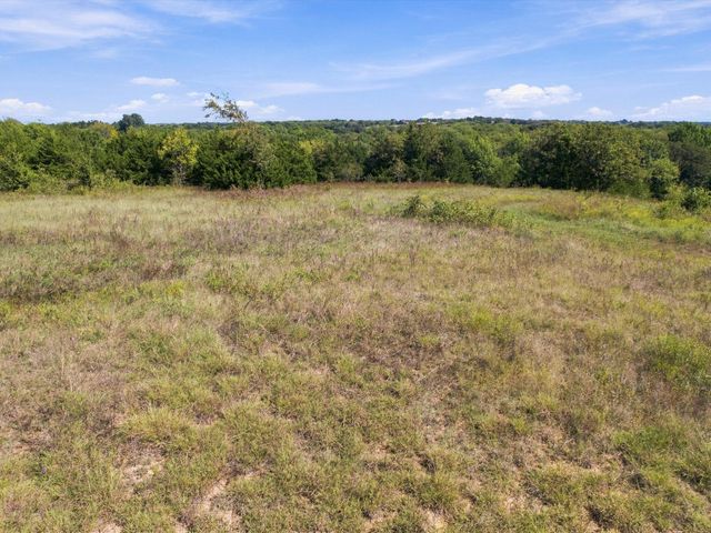 828 Blanton Hill Road, Whitewright, TX 75491