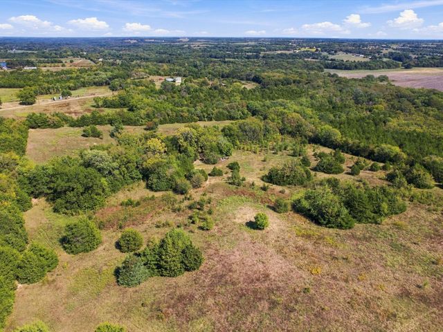 828 Blanton Hill Road, Whitewright, TX 75491