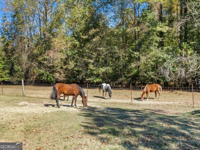 7790 Atlanta Newnan Road, Chattahoochee Hills, GA 30268